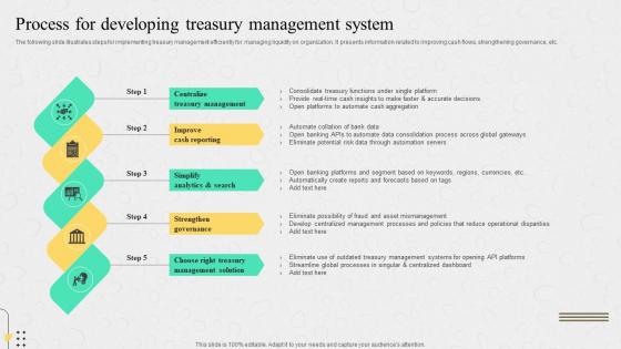 Process For Developing Treasury Management System