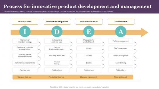 Process For Innovative Product Development And Management Strategy SS