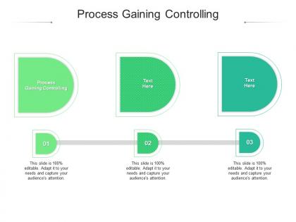 Process gaining controlling ppt powerpoint presentation styles example file cpb