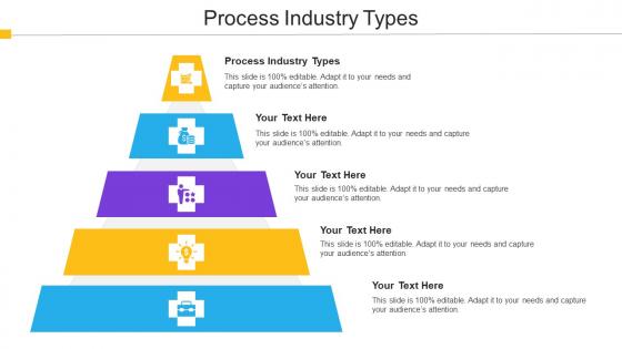Process Industry Types Ppt Powerpoint Presentation Pictures Portfolio Cpb