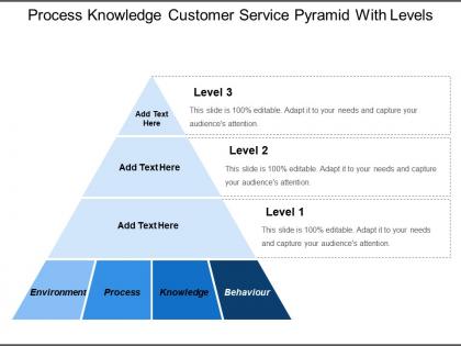 Process knowledge customer service pyramid with levels