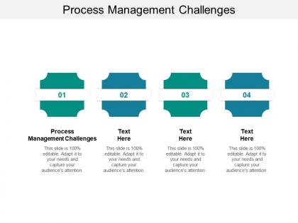 Process management challenges ppt powerpoint presentation slides pictures cpb