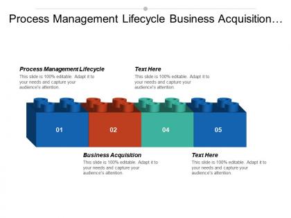 Process management lifecycle business acquisition process mapping tool cpb