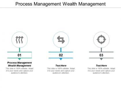 Process management wealth management ppt powerpoint presentation professional visuals cpb