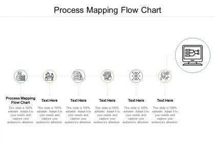 Process mapping flow chart ppt powerpoint presentation infographic template visuals cpb