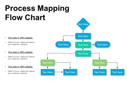 Process mapping flow chart presentation design