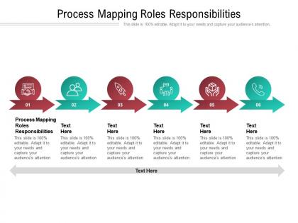 Process mapping roles responsibilities ppt powerpoint presentation portfolio cpb
