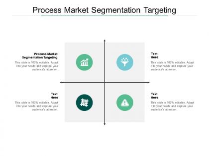 Process market segmentation targeting ppt powerpoint presentation inspiration cpb