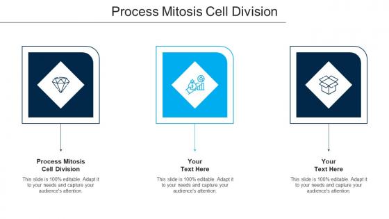 Process Mitosis Cell Division Ppt Powerpoint Presentation Layouts Gallery Cpb