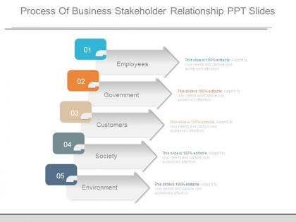 Process of business stakeholder relationship ppt slides