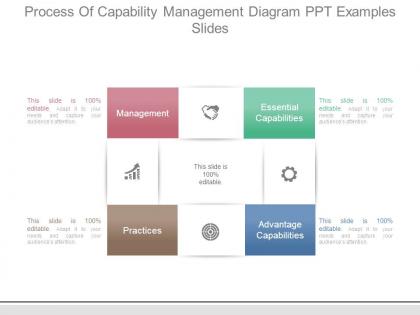 Process of capability management diagram ppt examples slides