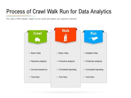 Process of crawl walk run for data analytics