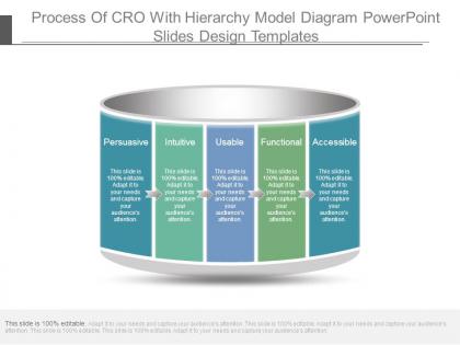 Process of cro with hierarchy model diagram powerpoint slides design templates