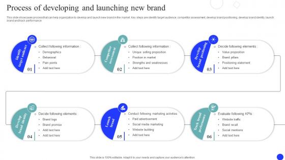 Process Of Developing And Launching Brand Market And Launch Strategy MKT SS V