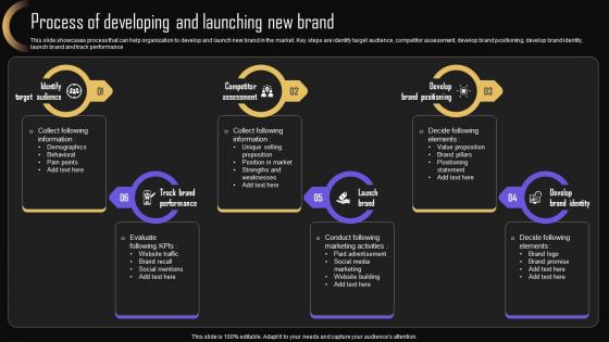 Process Of Developing And Launching Brand Strategy For Increasing Company Presence MKT SS V