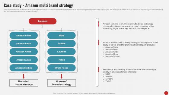 Process Of Developing And Launching Case Study Amazon Multi Brand Strategy MKT SS V