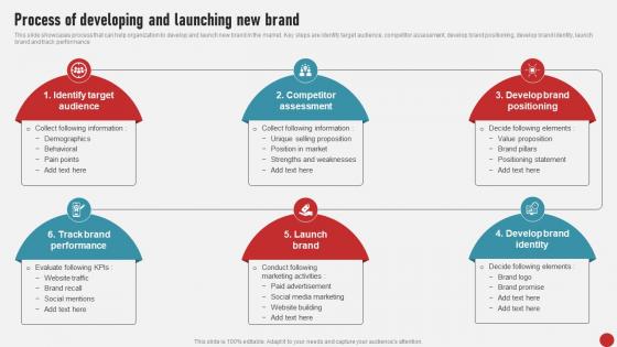 Process Of Developing And Launching Process Of Developing And Launching New MKT SS V