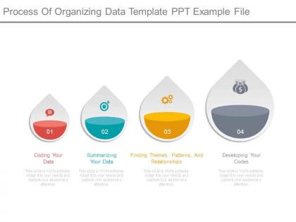 Process of organizing data template ppt example file