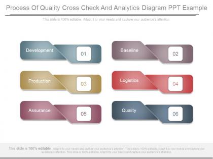 Process of quality cross check and analytics diagram ppt example