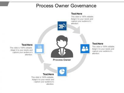 Process owner governance