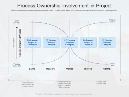 Process ownership involvement in project