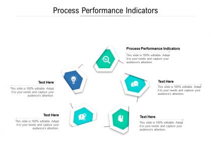 Process performance indicators ppt powerpoint presentation summary template cpb