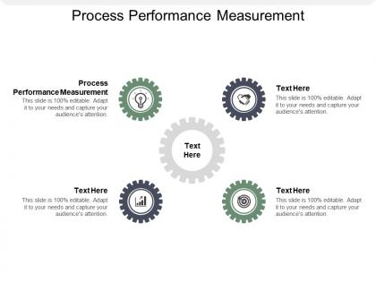 Process performance measurement ppt powerpoint presentation gallery guidelines cpb