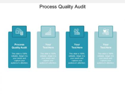 Process quality audit ppt powerpoint presentation files cpb