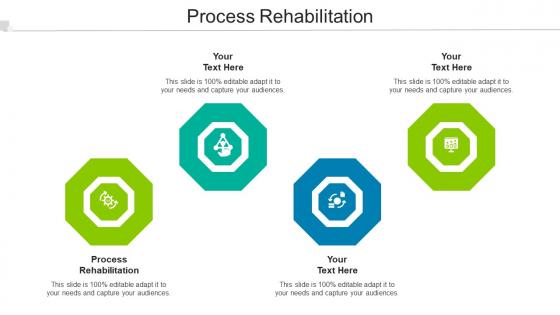 Process Rehabilitation Ppt Powerpoint Presentation Show Infographics Cpb
