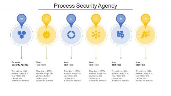 Process security agency ppt powerpoint presentation icon professional cpb