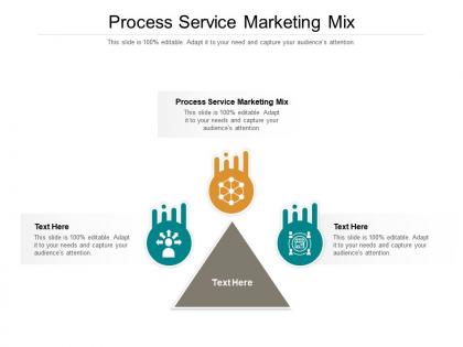 Process service marketing mix ppt powerpoint presentation gallery graphics pictures cpb