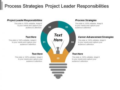 Process strategies project leader responsibilities career advancement strategies cpb