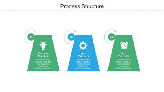 Process structure ppt powerpoint presentation show example cpb