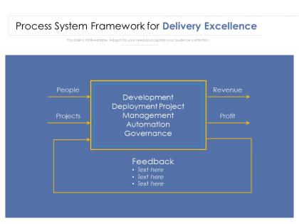 Process system framework for delivery excellence