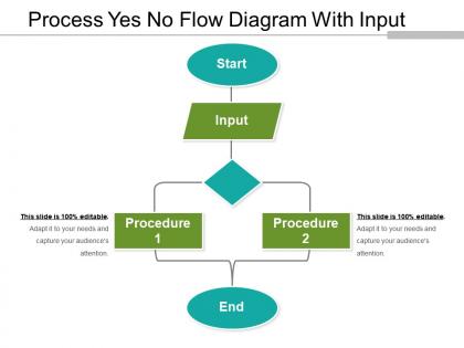 Process yes no flow diagram with input