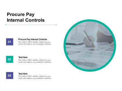 Procure pay internal controls ppt powerpoint presentation design templates cpb