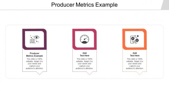 Producer Metrics Example Ppt Powerpoint Presentation Model Information Cpb