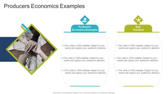Producers Economics Examples In Powerpoint And Google Slides Cpb