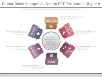 Product brand management sample ppt presentation diagrams