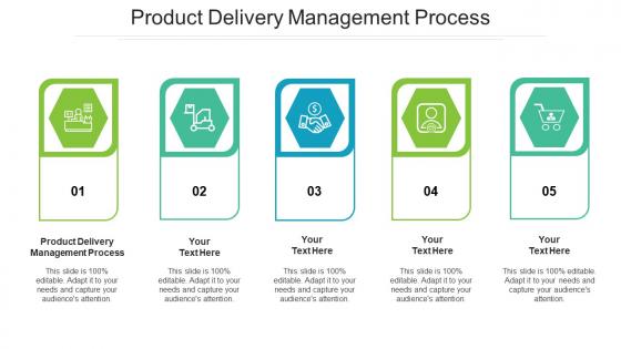 Product Delivery Management Process Ppt Powerpoint Presentation Infographic Graphics Cpb