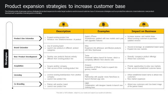 Product Expansion Strategies To Increase Customer Base Developing Strategies For Business Growth