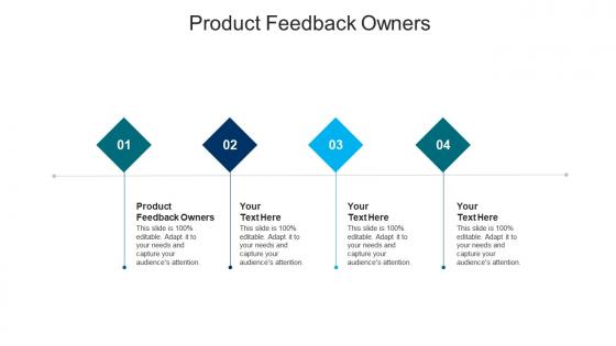 Product feedback owners ppt powerpoint presentation gallery layout cpb