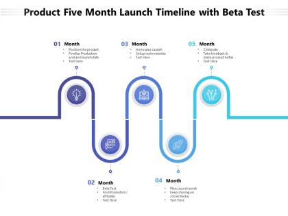 Product five month launch timeline with beta test