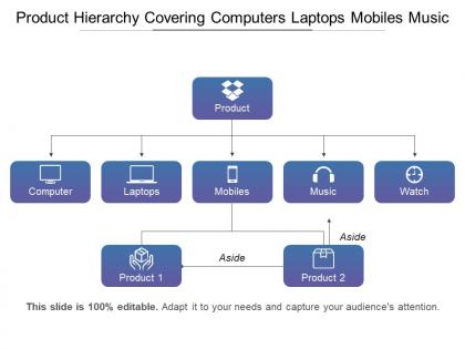 Product hierarchy covering computers laptops mobiles music