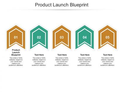 Product launch blueprint ppt powerpoint presentation infographic template picture cpb