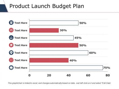 Product launch budget plan ppt styles files