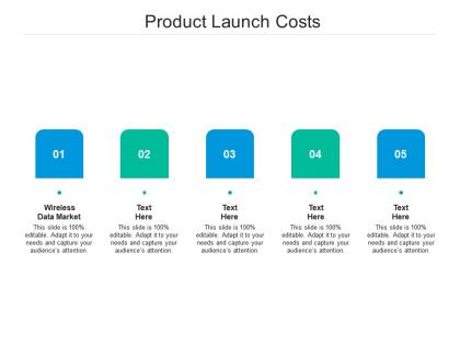 Product launch costs ppt powerpoint presentation file graphic images cpb