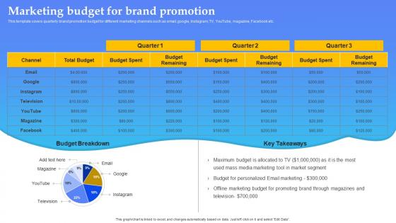 Product Launch Plan Marketing Budget For Ppt Presentation File Introduction Branding SS V