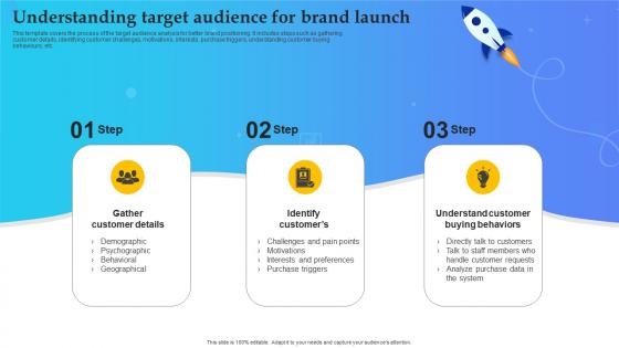 Product Launch Plan Understanding Target Audience For Brand Launch Branding SS V