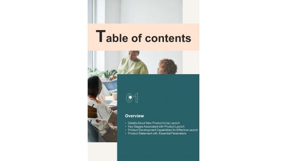 Product Launch Playbook Table Of Contents One Pager Sample Example Document